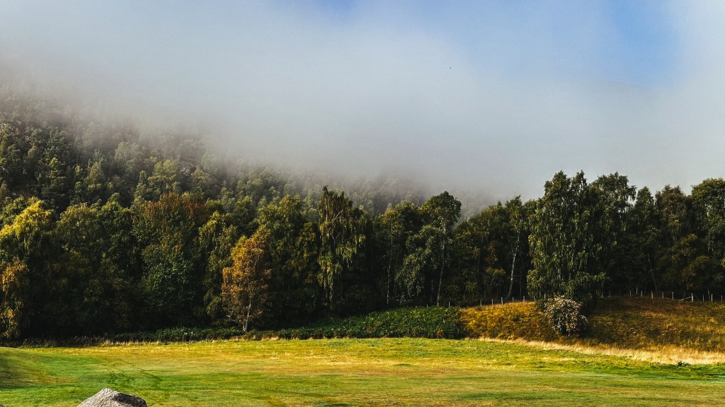 From Inverness to Aviemore to Edinburgh: Hiking Surprises, Train Lessons & a Quiet Night In