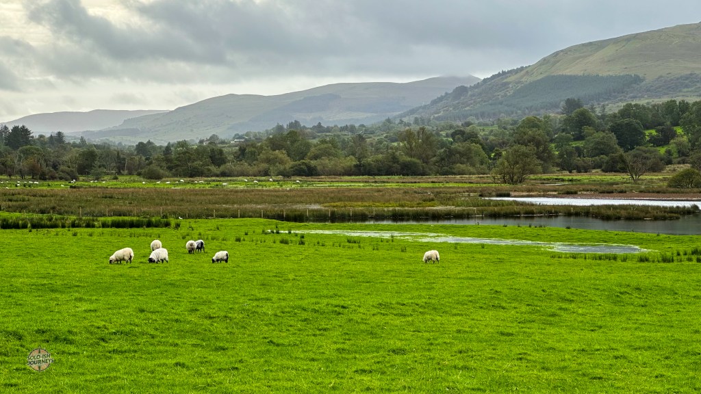 From Donegal to County Mayo: Waterfalls, Whiskey, and Wet Jeans