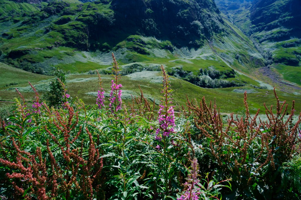 My Second Solo‑ish Adventure Through&nbsp;Scotland